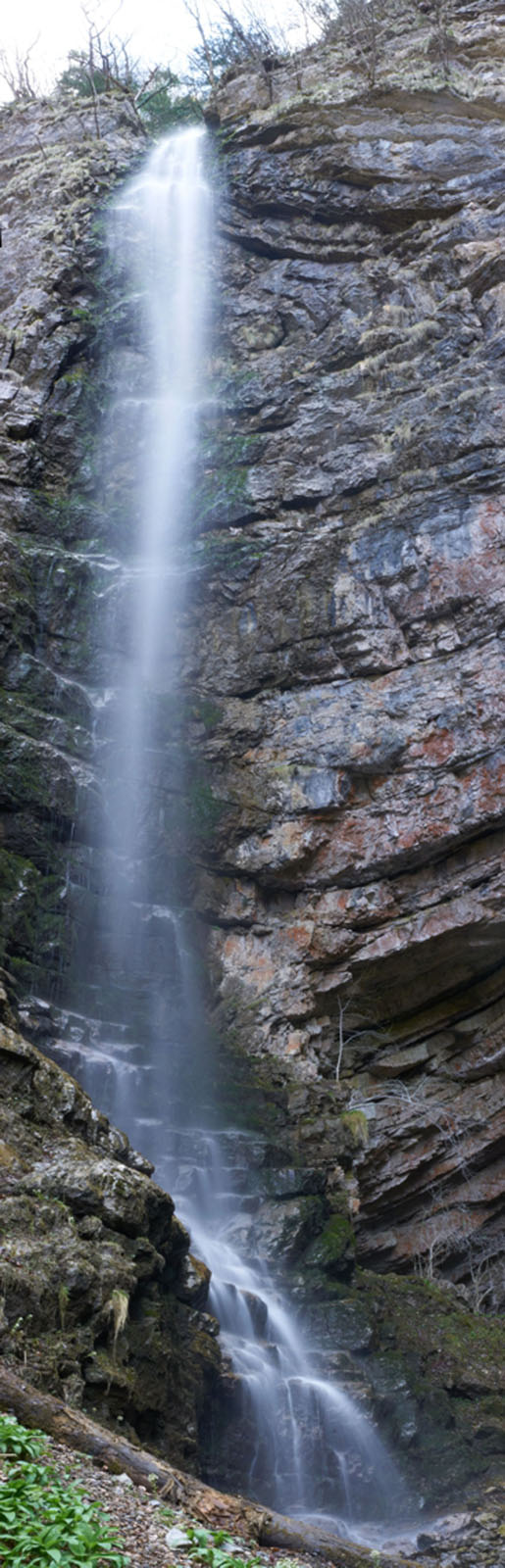 ZELENI VIR4 PANORAMA